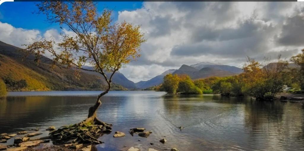 Pen Y Buarth Pod - Caravan Site Caernarfon Bagian luar foto